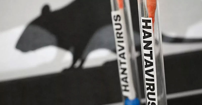 banner-image