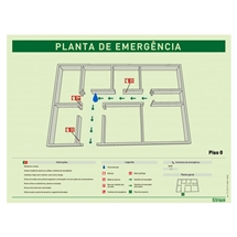 elaboracao-e-instalacao-de-plantas-de-emergen